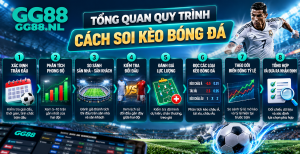 Tổng quan quy trình cách soi kèo bóng đá